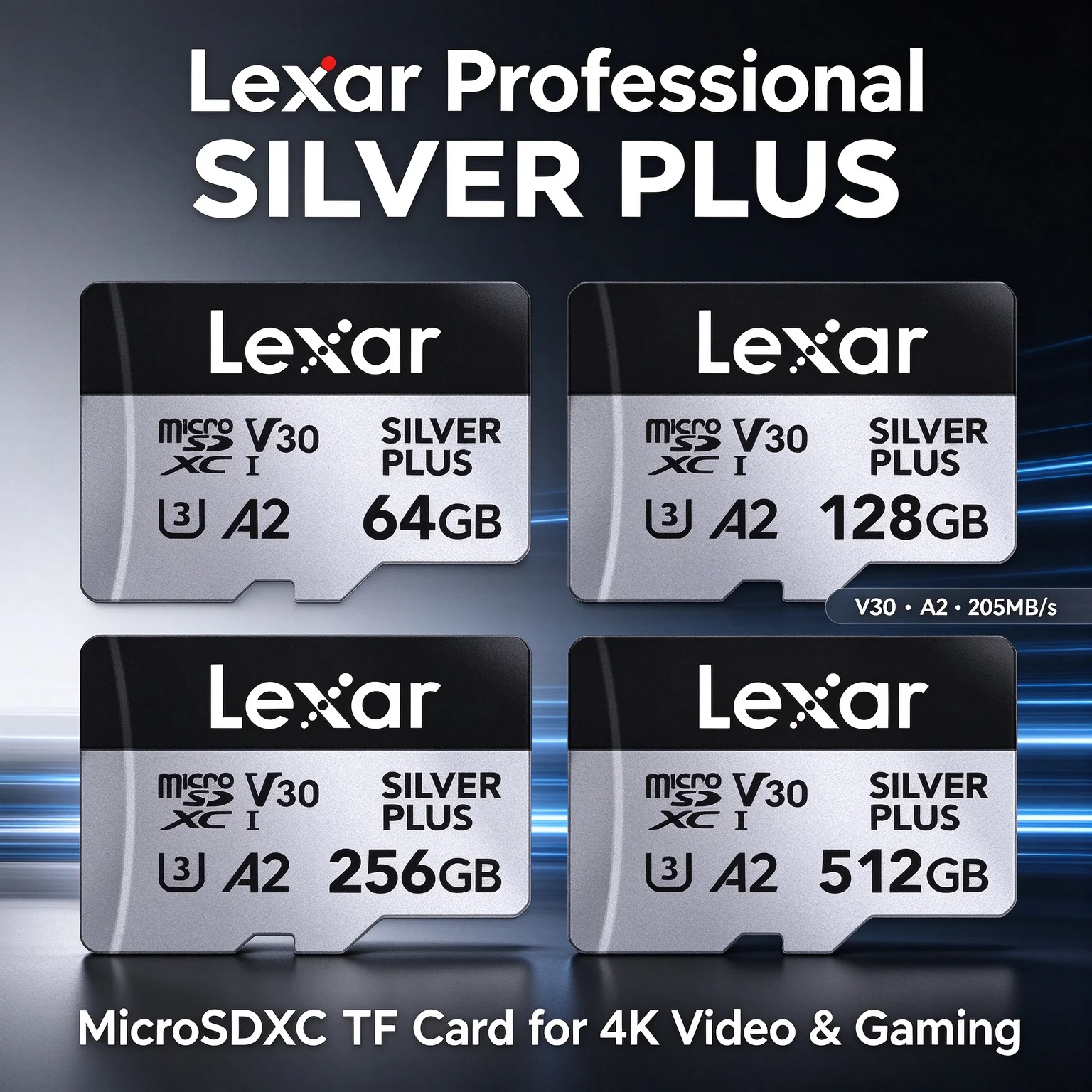 Action Camera Micro Sd Card 128Gb V30 - Carte mémoire Lexar SILVER PLUS MicroSDXC